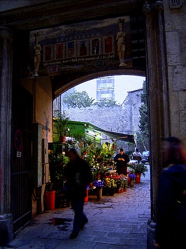 Florist, Santa Anna street, Ciutat Vella, Barcelona